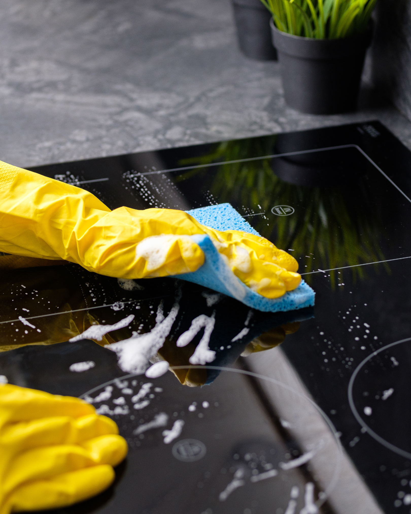 Hygiene-Meisterklasse: 7 Tipps für Tadellose Sauberkeit in der Gastronomie